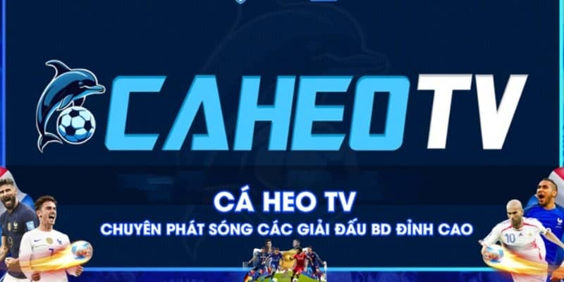 CaheoTV: Nền Tảng Xem Bóng Đá Trực Tiếp Hàng Đầu Việt Nam