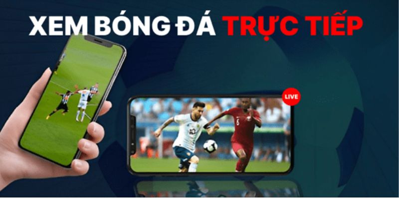 Mitomtv – Trải Nghiệm Theo Dõi Bóng Đá Siêu Đỉnh Cao